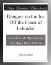 Dangers on the Ice Off the Coast of Labrador