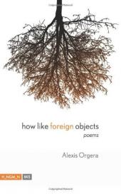 Foreign object