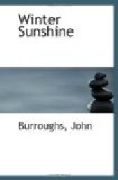Winter Sunshine